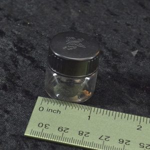 Mini Glass Jar